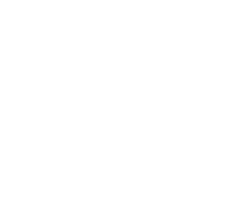 AMIRITA holdings